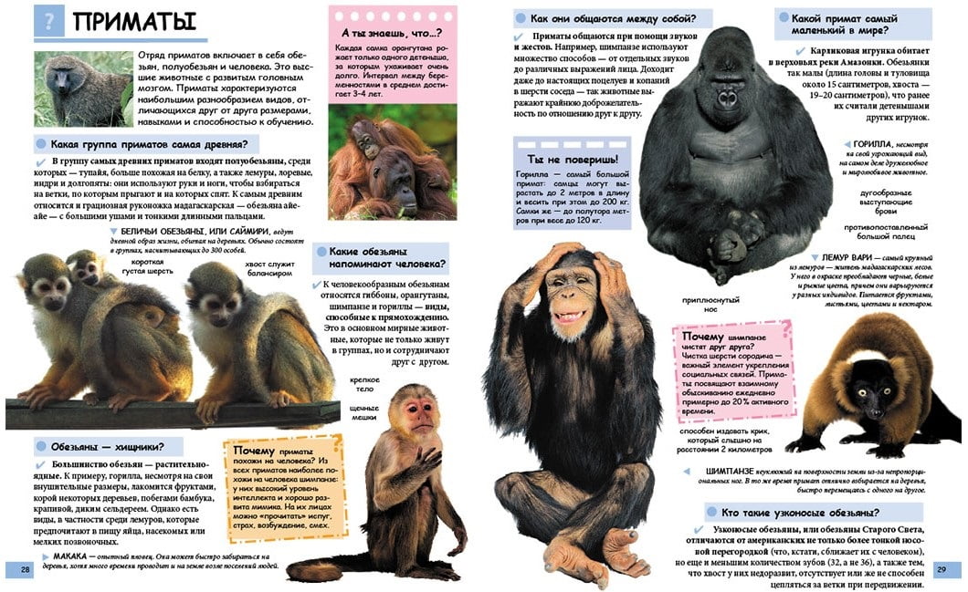 Иллюстрированная детская энциклопедия в вопросах и ответах. Изд-во: Пегас - фото 3