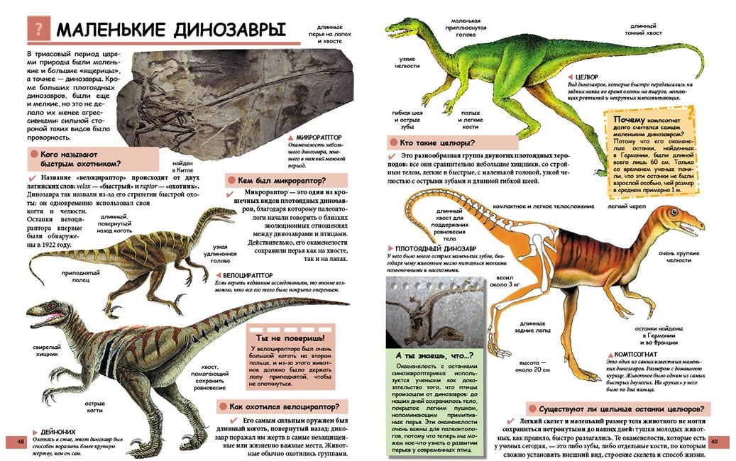 Иллюстрированная детская энциклопедия в вопросах и ответах. Изд-во: Пегас - фото 5