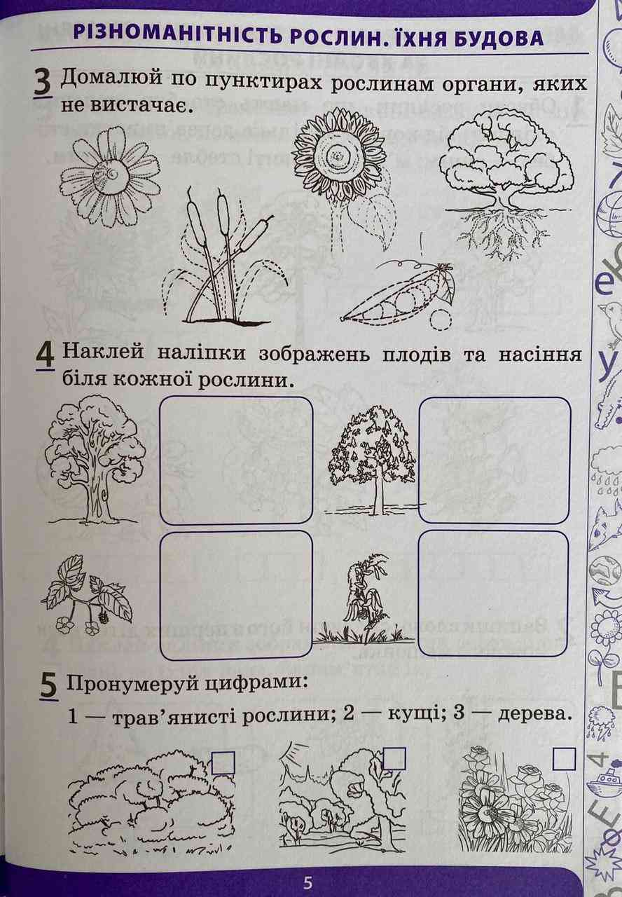 Робочий зошит Я досліджую світ 1 клас Частина 2 НУШ До підручника Гільберг Т. та ін. Авт: Мішина Л.С. Вид-во: ПЕТ - фото 2