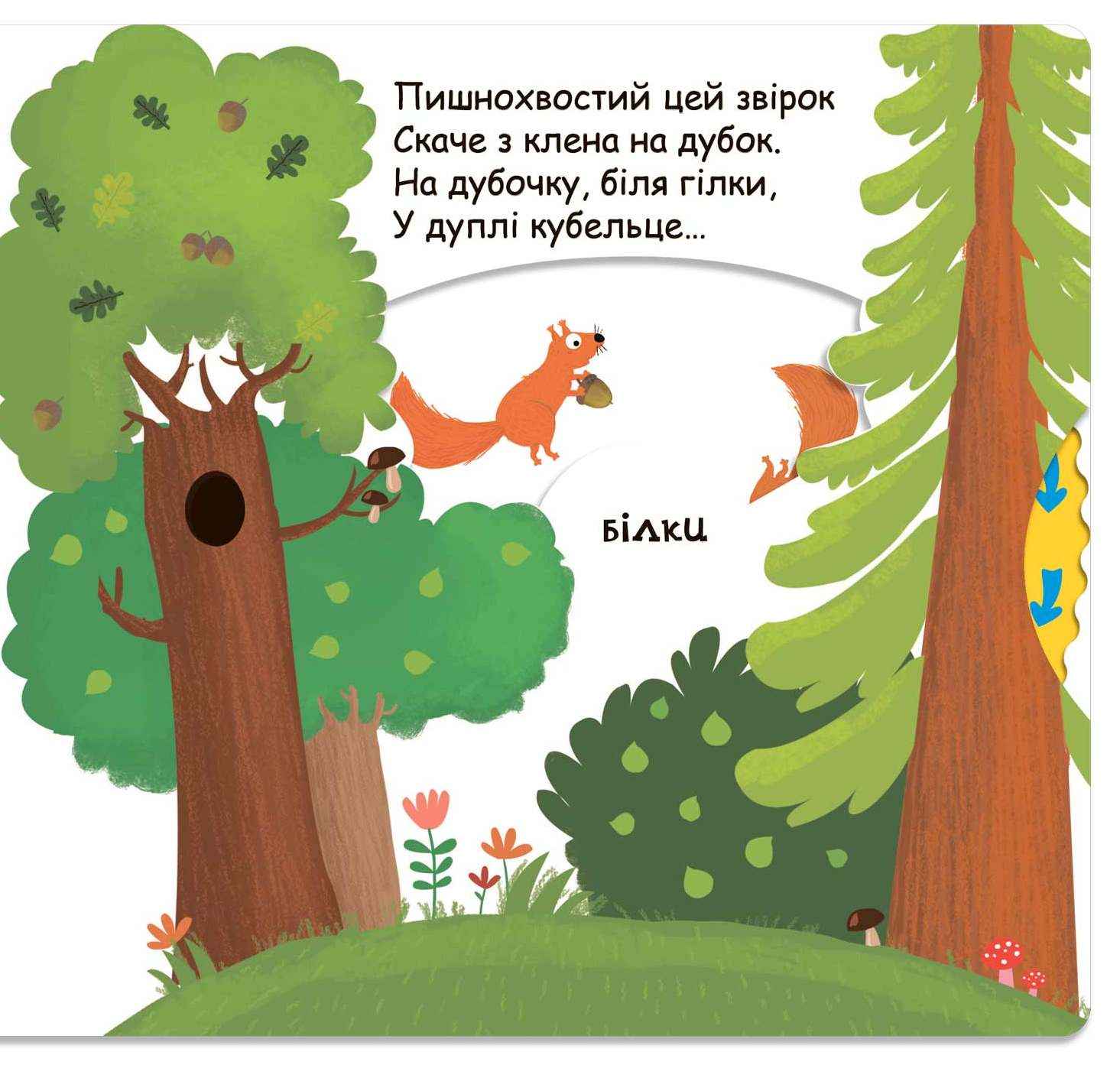 Тварини в лісі Сторінки цікавинки Василь Федієнко Школа - фото 3