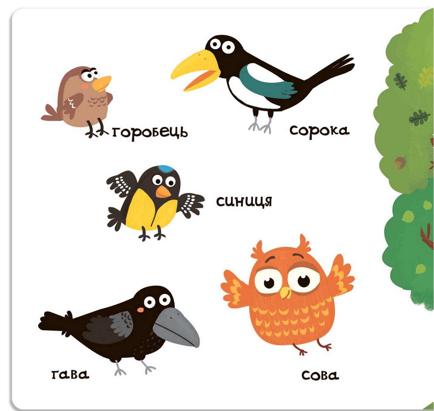 Тварини в лісі Сторінки цікавинки Василь Федієнко Школа - фото 2