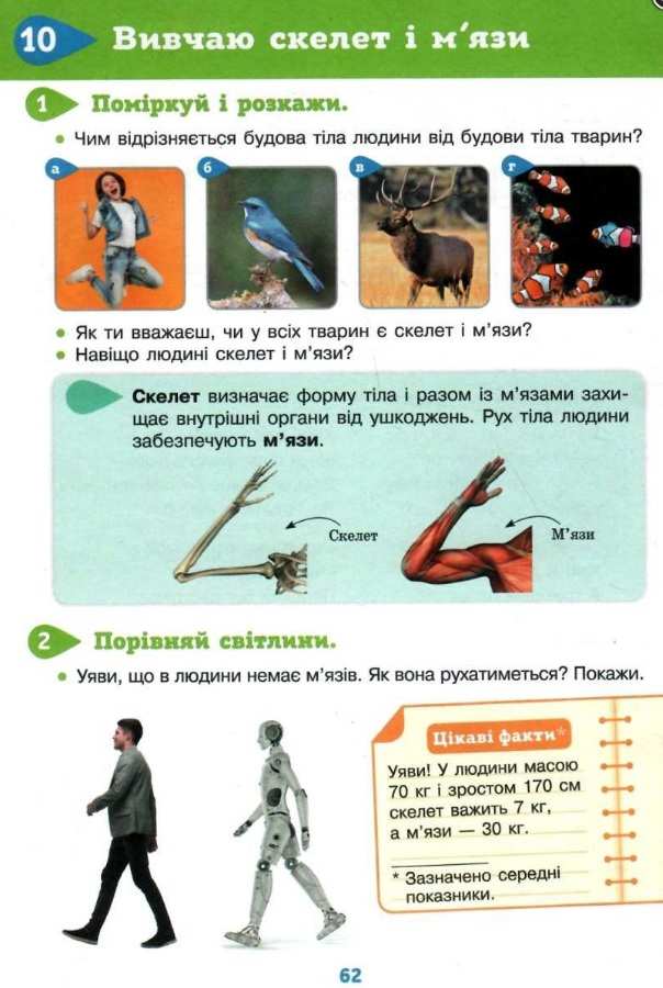 Підручник Я досліджую світ 3 клас Частина 2 НУШ за ред. Вашуленка М. Авт: Ломаковська Г. Єресько Т. Проценко Г. Вид-во: Освіта - фото 6