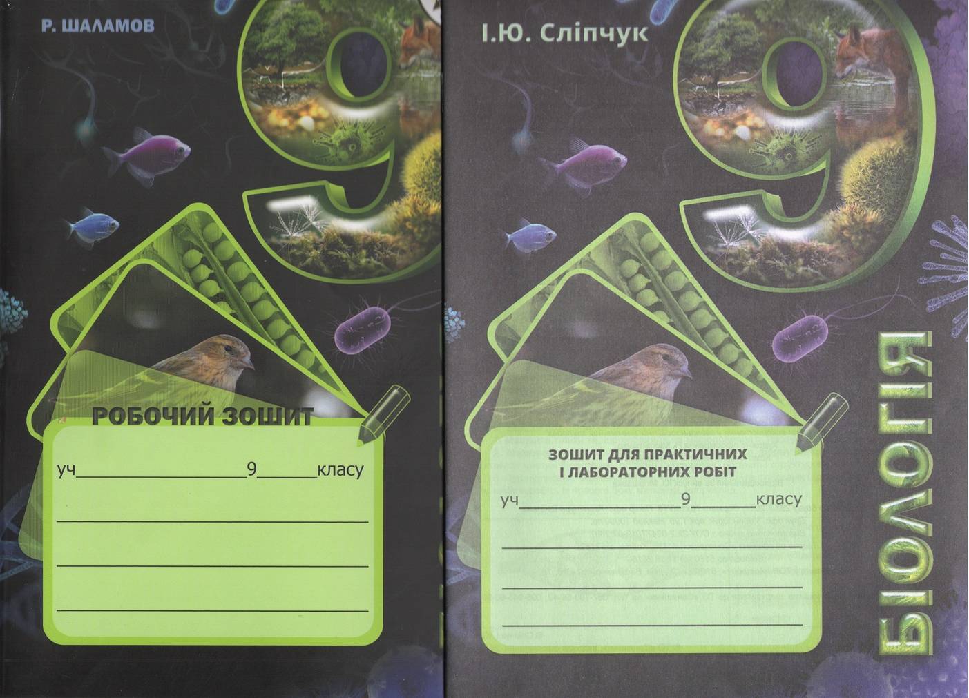 Біологія 9 клас Комплект Робочий зошит та зошит для практичних та лабораторний робіт Каліберда М. Соняшник - фото 1