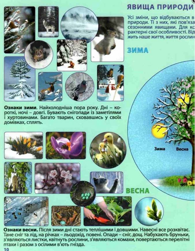 Атлас Я досліджую світ Природознавство 1-2 клас НУШ З контурними картами Вид-во: Картографія - фото 3