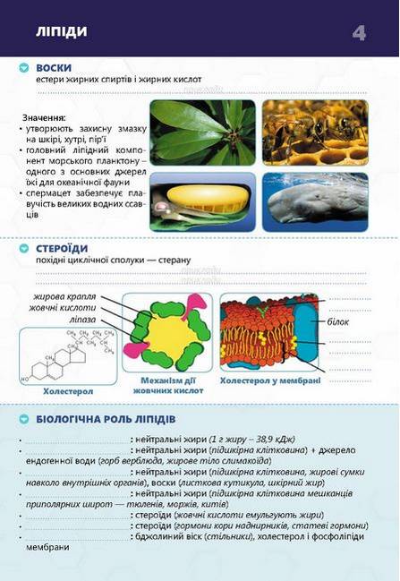 Біологія Картки для роботи на уроках і підготовки до ЗНО 9-10 клас Каліберда М., Шаламов Р. Соняшник - фото 2