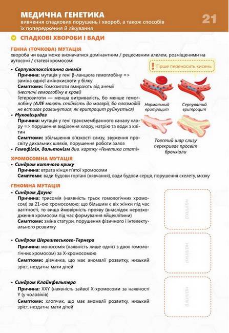 Біологія Картки для роботи на уроках і підготовки до ЗНО 9-10 клас Каліберда М., Шаламов Р. Соняшник - фото 3