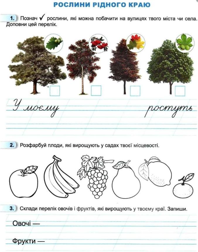 Зошит Я досліджую світ 1 клас Частина 4 НУШ Авт: Гільберг Т. та ін. Вид-во: Генеза - фото 3