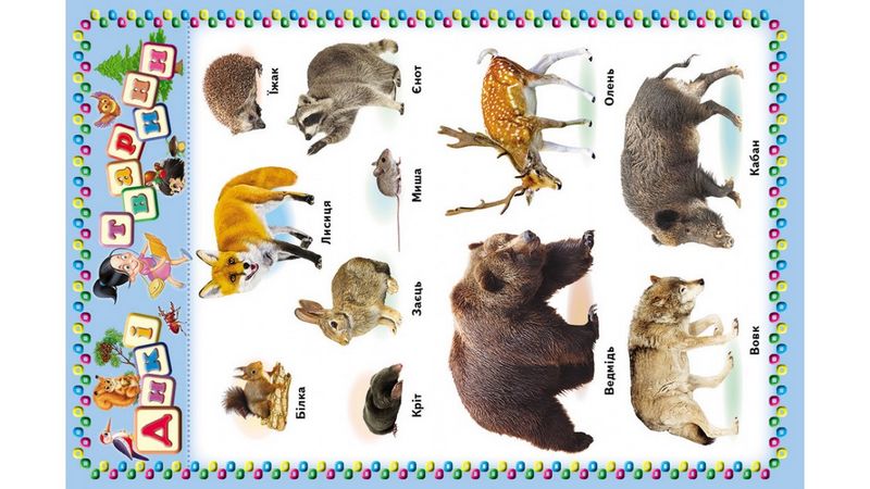 Моя перша книга (червона): абетка, лічба, тварини, професії, кольори, фігури, овочі, фрукти (картонні сторінки, А4 формат, подарункове видання) - фото 3