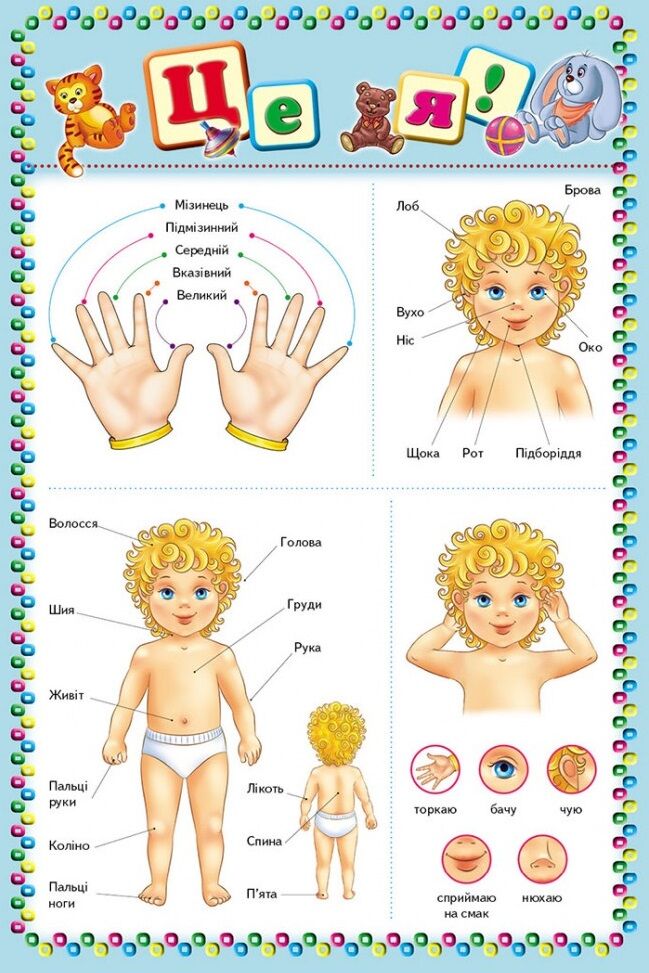 Моя перша книга (зелена) подарункове видання - фото 2