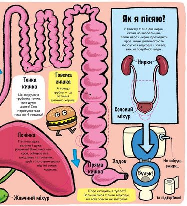 Маленькі дослідники: Моє дивовижне тіло - фото 5