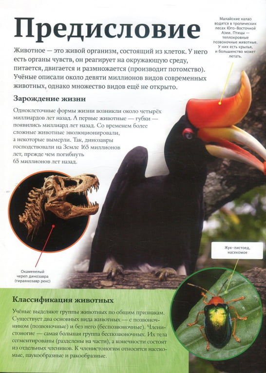 Детская энциклопедия животных - фото 3