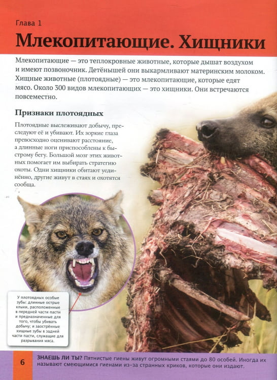 Детская энциклопедия животных - фото 5