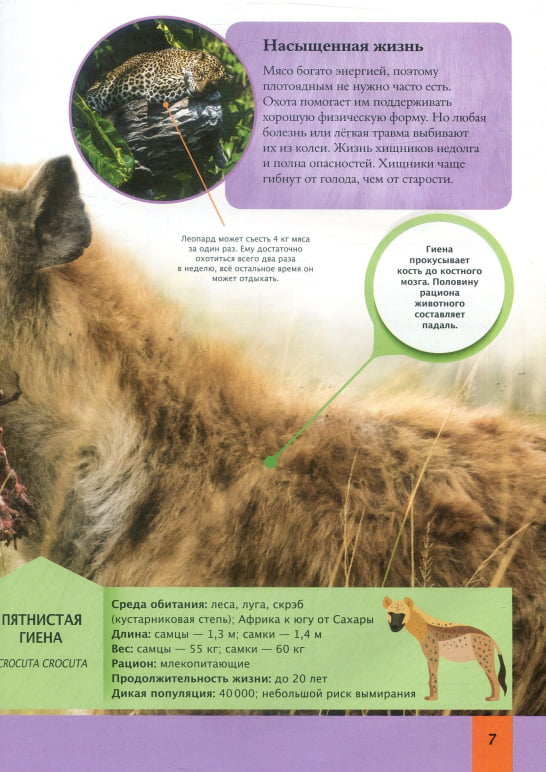 Детская энциклопедия животных - фото 6