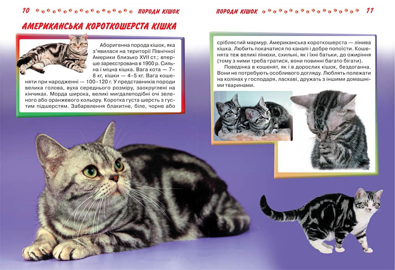 Велика енциклопедія. Кішки та кошенята від А до Я - фото 2