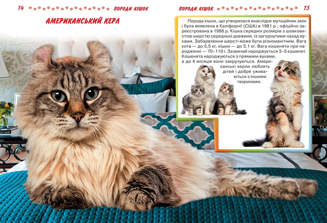 Велика енциклопедія. Кішки та кошенята від А до Я - фото 3
