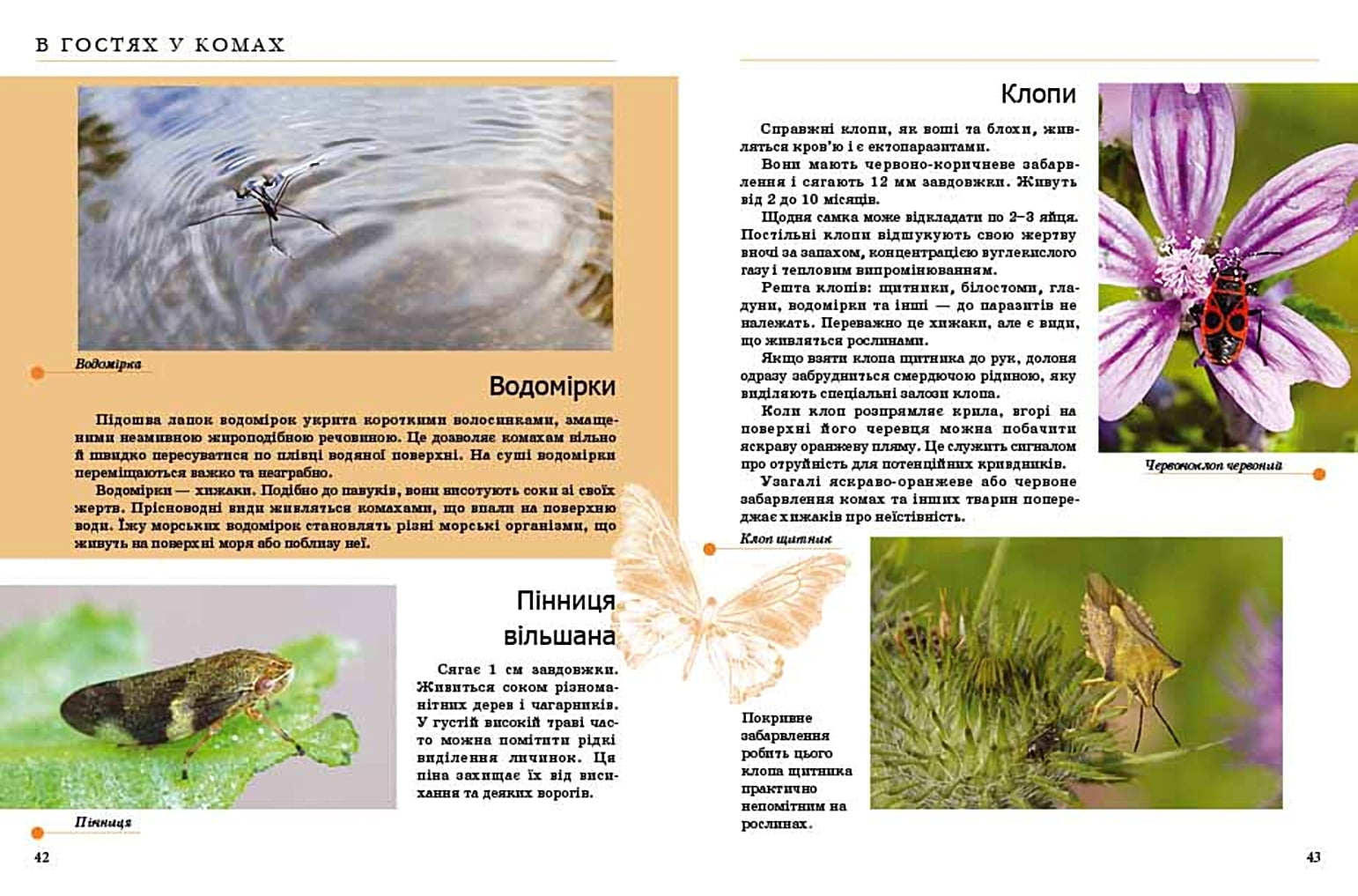 Комахи та інші Енцилопедія для допитливих Жабська Т. Талант - фото 2