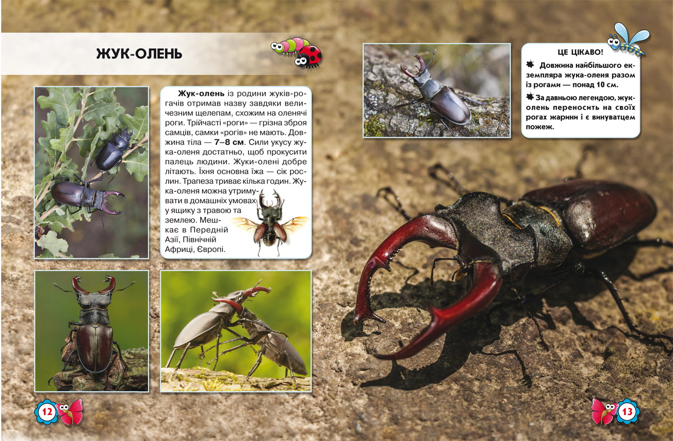 Світ навколо нас. Комахи - фото 2