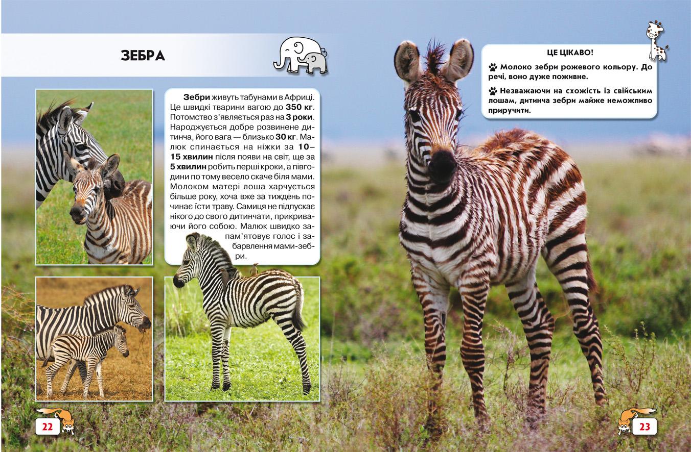 Світ навколо нас. Малята тварин - фото 3