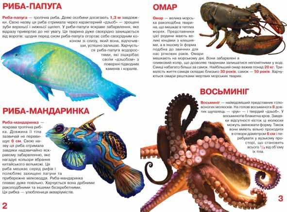 Велика книжка. Мешканці морів та океанів - фото 2