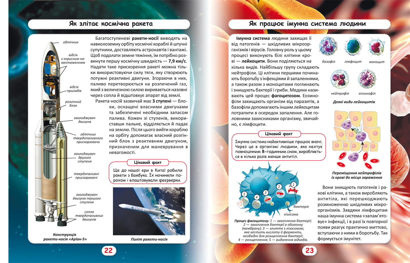 Світ навколо нас. Як це працює? Як усе відбувається? - фото 2