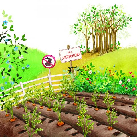 Забагато моркви - фото 4