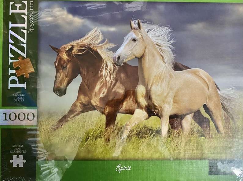 Пазлы 1000 элементов Spirit Danko Toys - фото 1