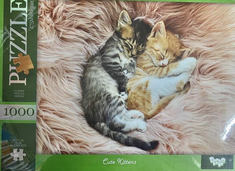 Пазлы 1000 элементов Cute Kittens Danko Toys - фото 1