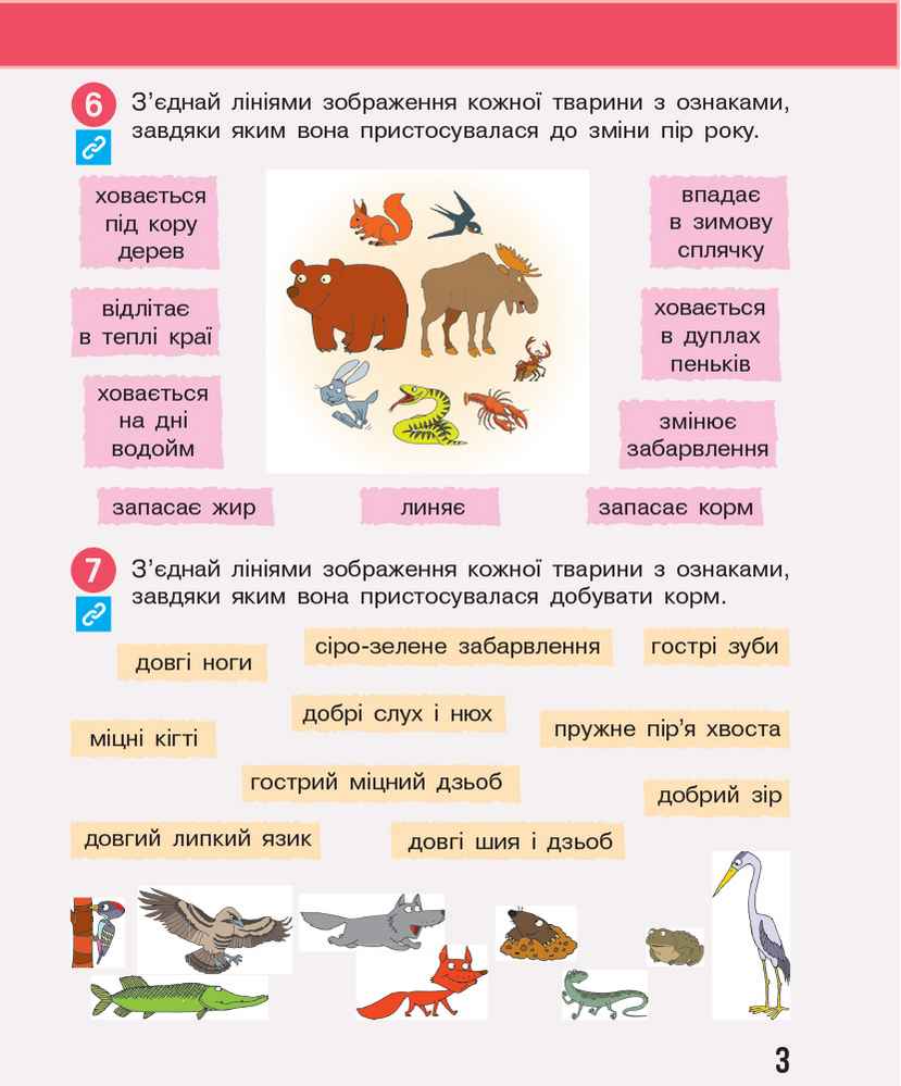 Робочий зошит Я досліджую світ 3 клас Частина 2 НУШ Авт: Бібік Н.М. Бондарчук Г.П. Вид-во: Ранок - фото 6