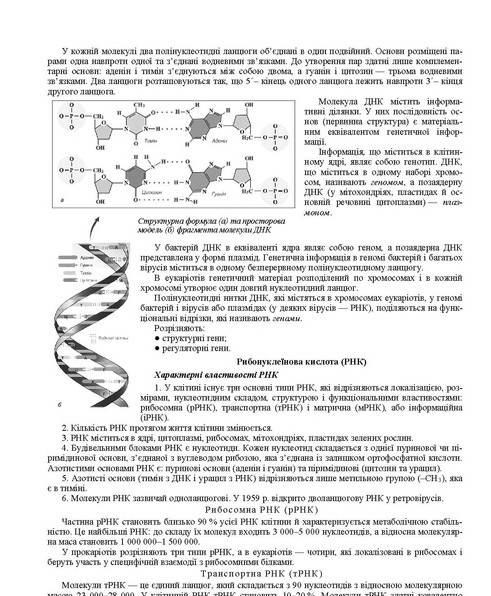 Біологія в таблицях і схемах до ЗНО 2021 Барна І. Підручники і посібники - фото 3