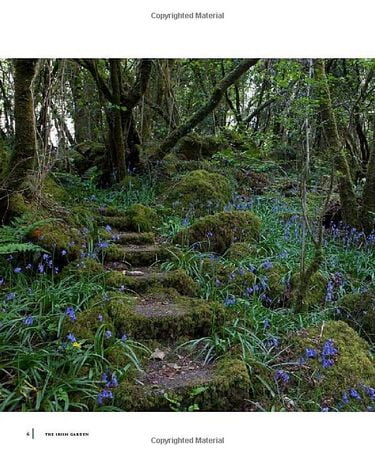 THE IRISH GARDEN - фото 2