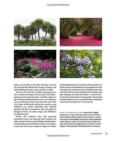 THE IRISH GARDEN - фото 3