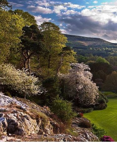 THE IRISH GARDEN - фото 5