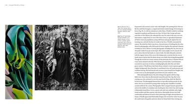 Georgia O`Keefe at Home - фото 5