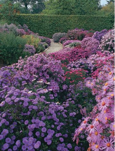 English Garden - фото 3