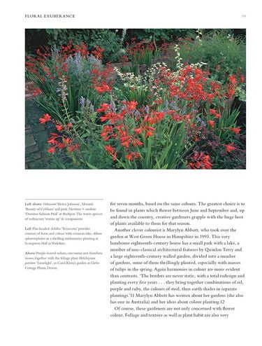 English Garden - фото 4