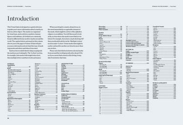 Millers Encyclopedia of World Silver Marks - фото 2
