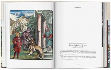 Theuerdank - фото 2