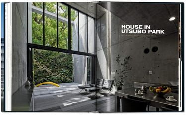 Ando, update 2019 - фото 2