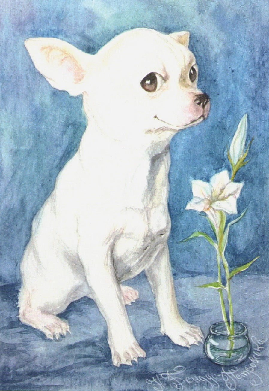 Набір листівок The Dogs - фото 3