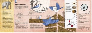 Архітектори у світі тварин - фото 2