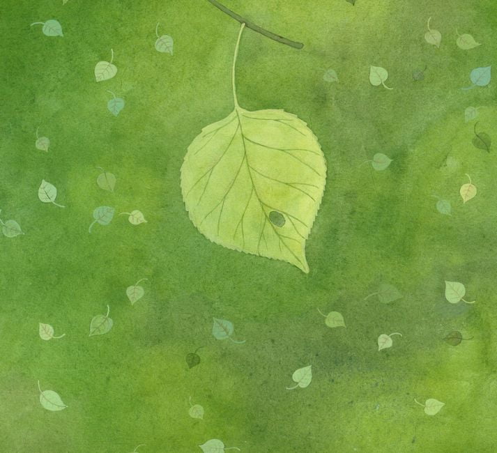 Подорож листочка (у) - фото 2