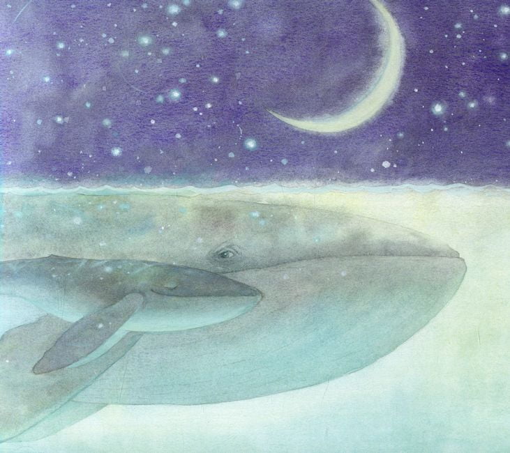 Маленький Кит (у) - фото 5