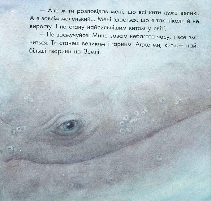 Маленький Кит (у) - фото 6