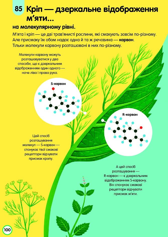 100 фактів про їжу - фото 7
