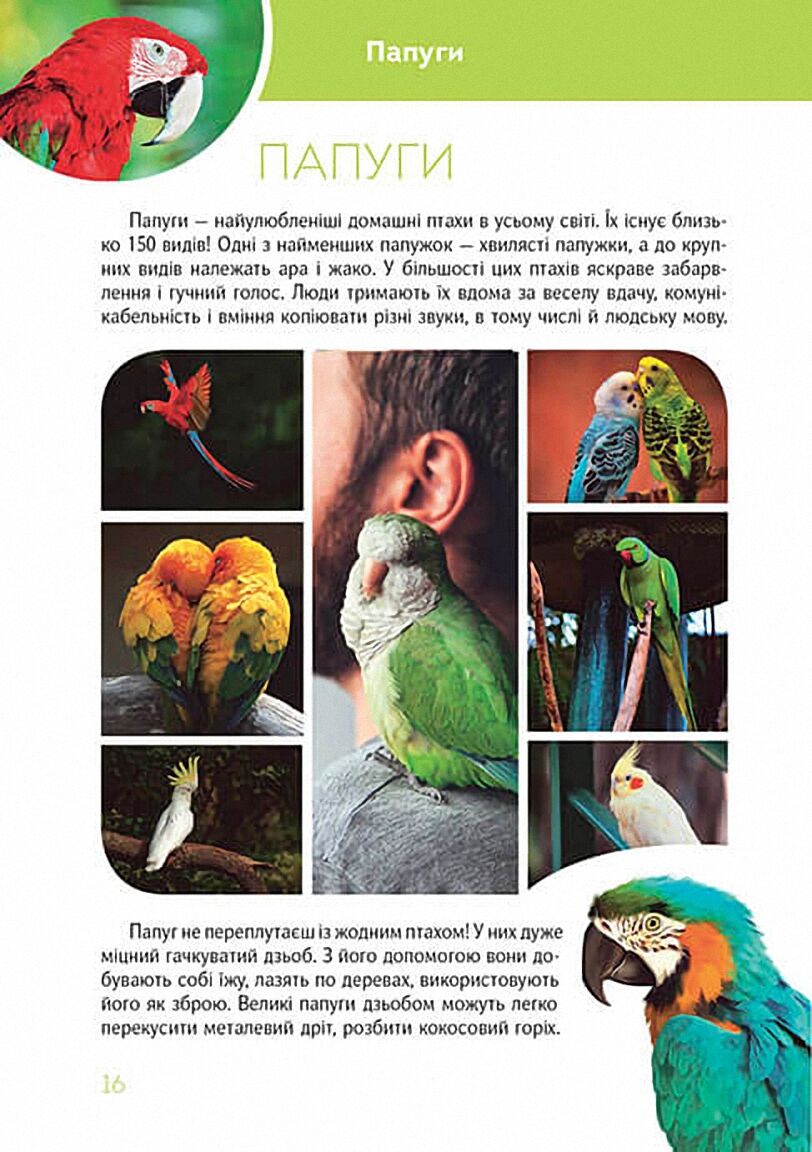 Велика книга про тварин Борзова В. Талант - фото 5