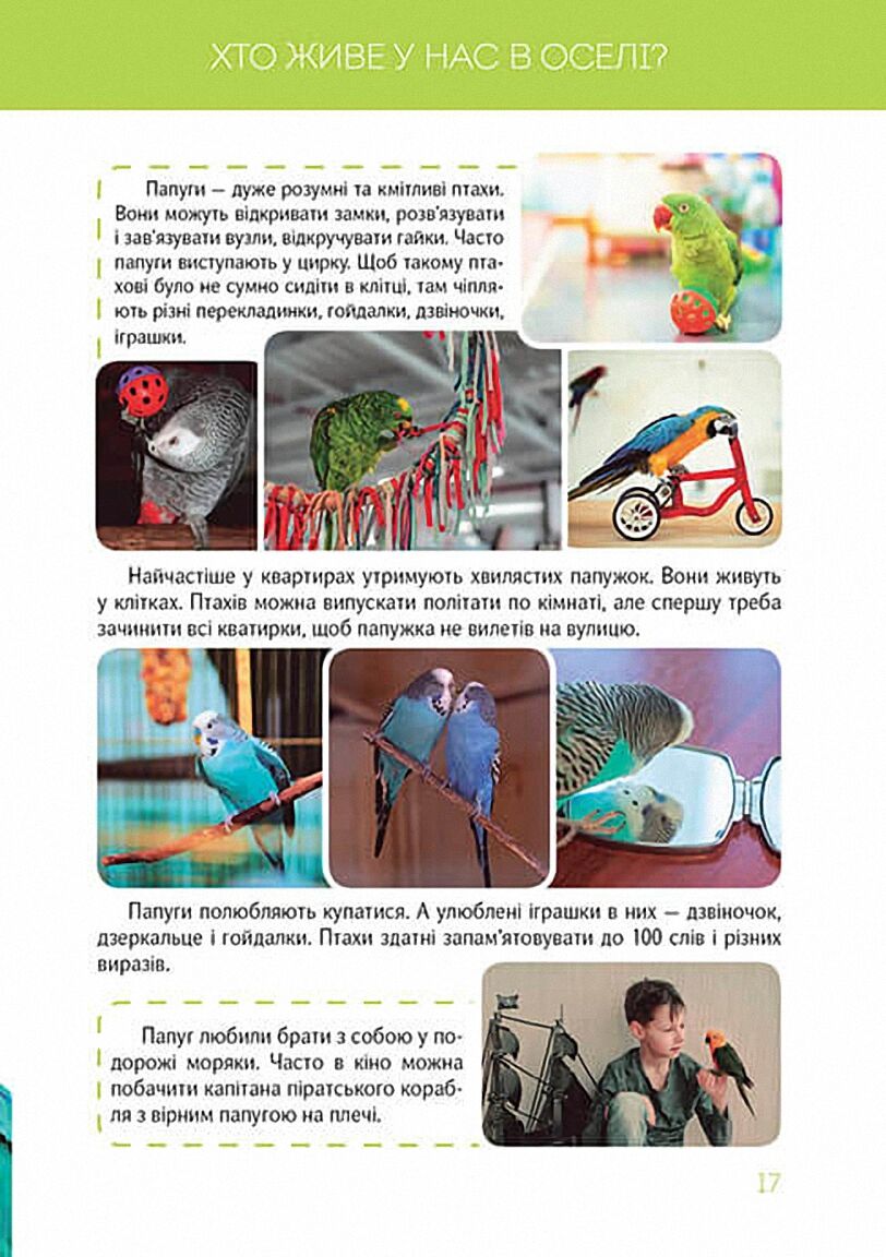 Велика книга про тварин Борзова В. Талант - фото 6