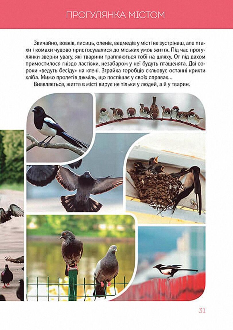 Велика книга про тварин Борзова В. Талант - фото 8