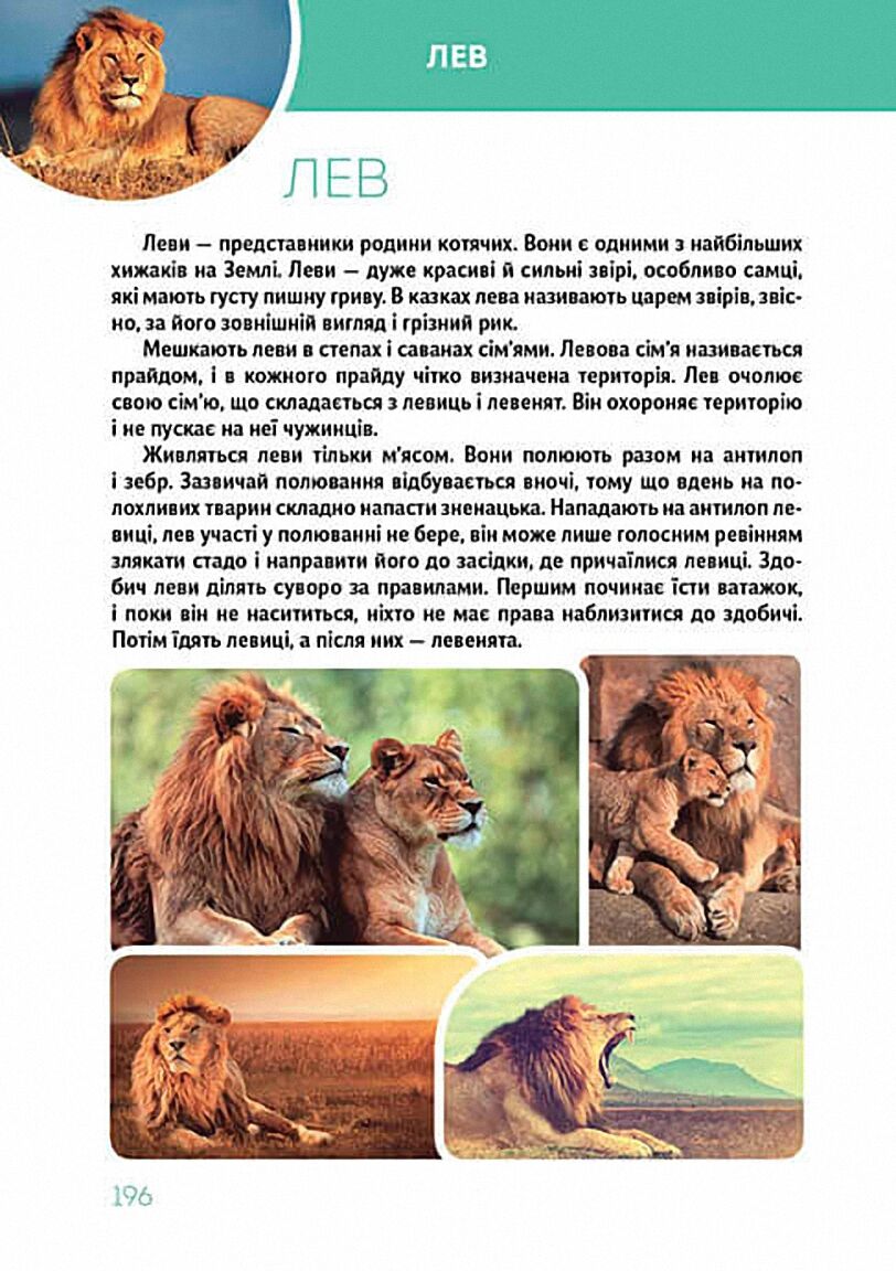 Велика книга про тварин Борзова В. Талант - фото 11