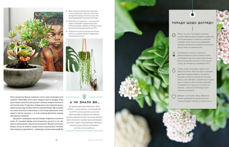 Міські джунглі. Або як рослини допомагають нам творити гармонію і стиль - фото 5