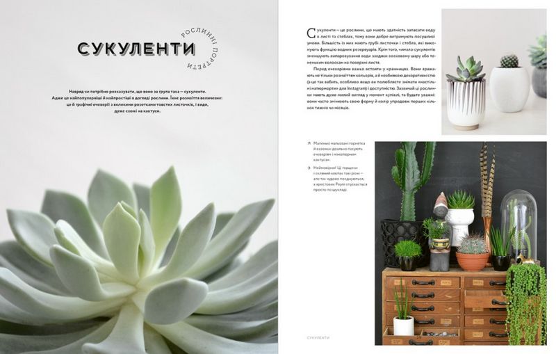 Міські джунглі. Або як рослини допомагають нам творити гармонію і стиль - фото 6